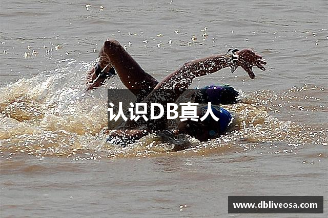 认识DB真人